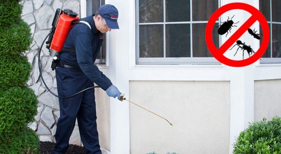 Felahiye Gümüşkurt İlaçlama böcek ilaçlama ve haşere kontrolü — ilaclama-tr.com